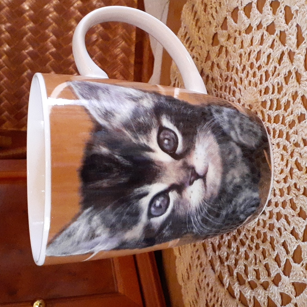 🍁3/$25 🐈CUTE KITTEN CUP MUG